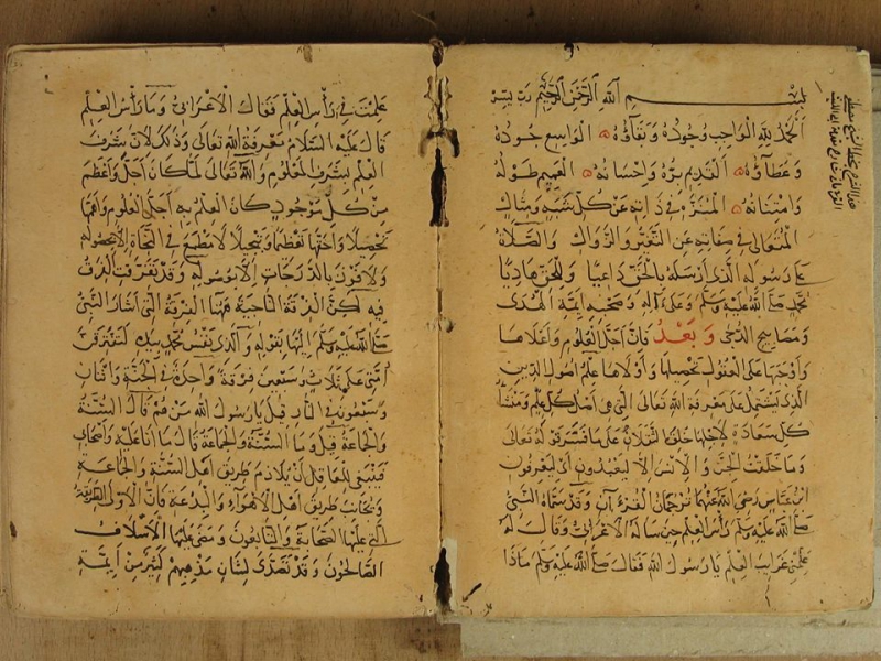 Yazma Nshalar