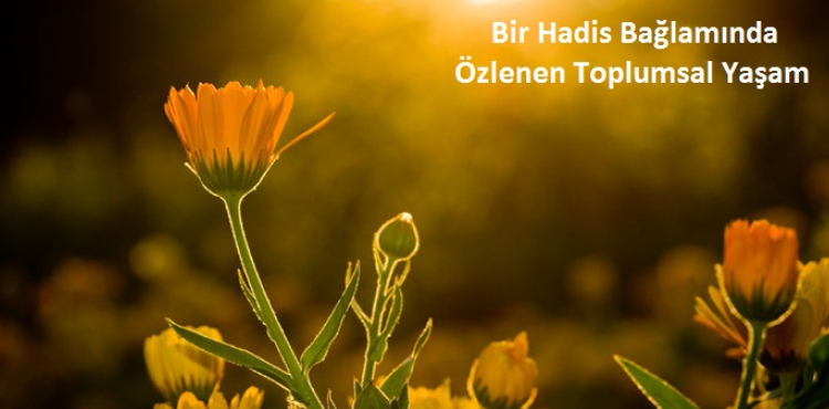 Bir Hadis Balamnda zlenen Toplumsal Yaam