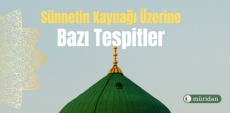 Snnetin Kayna zerine Baz Tespitler -2