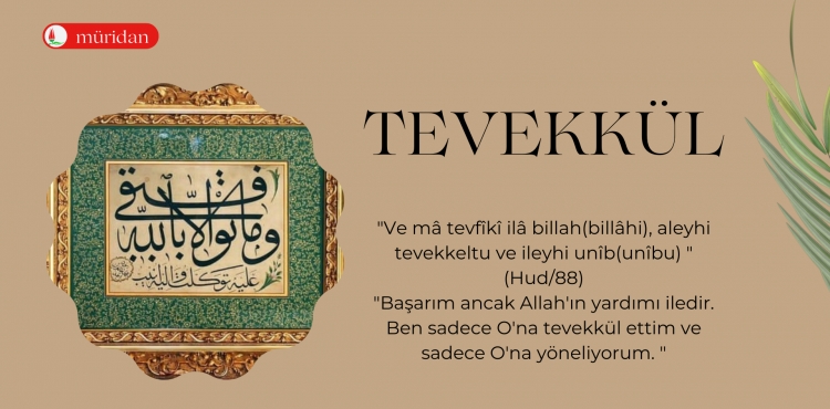 Tevekkl"