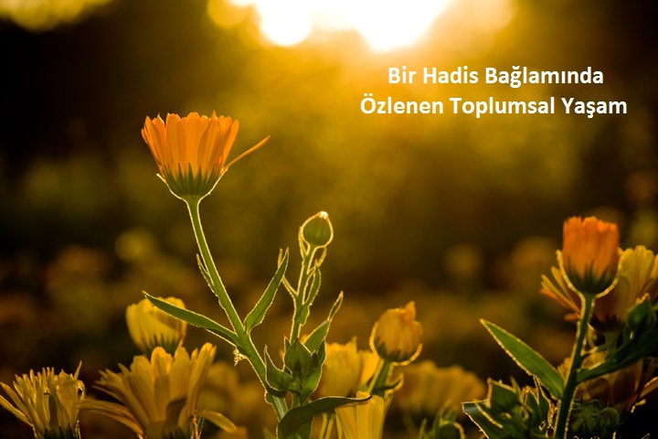 Bir Hadis Balamnda zlenen Toplumsal Yaam