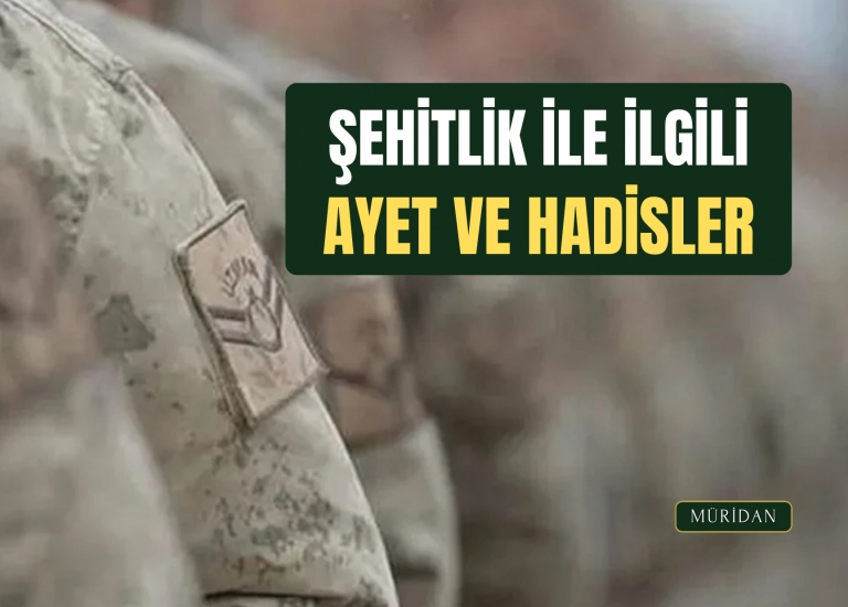ehitlik