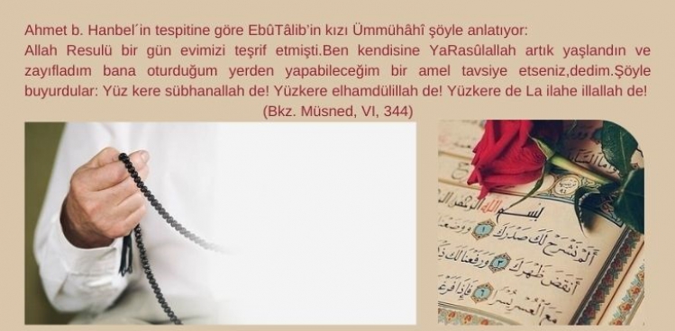 Mürîdin nefsiyle olan âdâbı nelerdir?